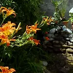Kruja 3*