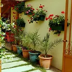 Kruja 3* Tirana