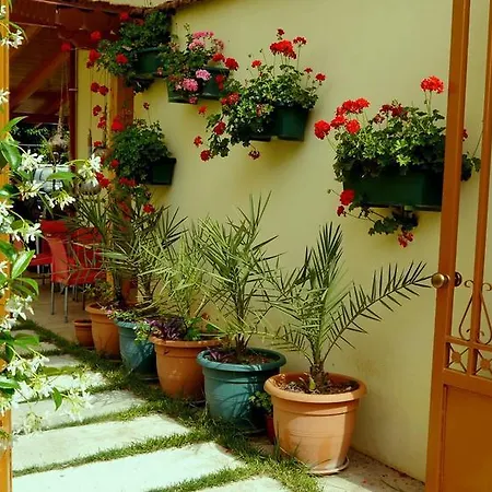 Kruja 3* טיראנה